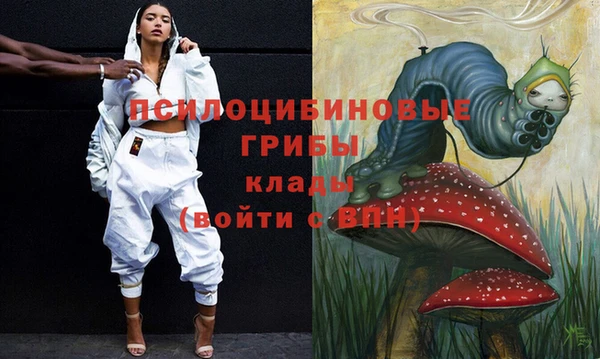 индика Семилуки