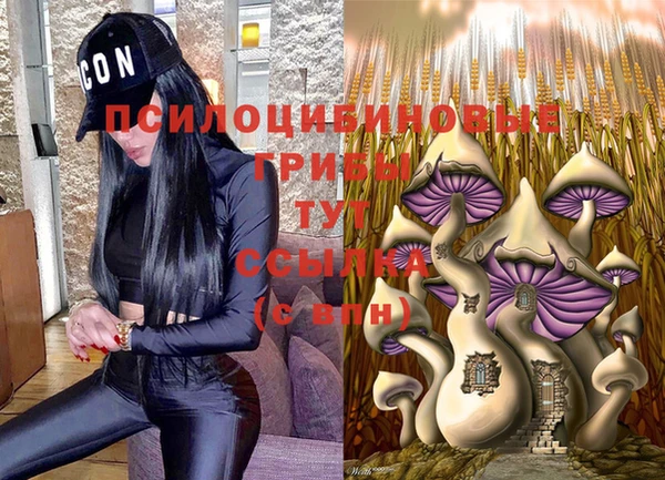 Альфа ПВП Белоозёрский