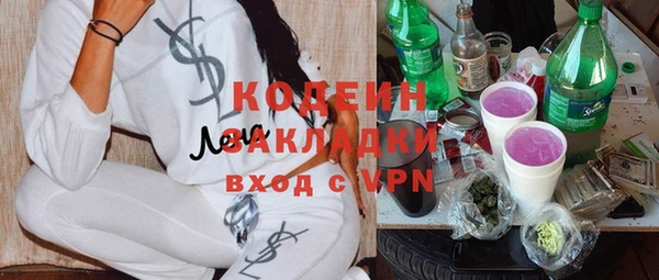индика Семилуки