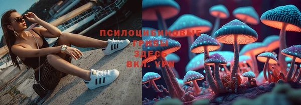 Альфа ПВП Белоозёрский